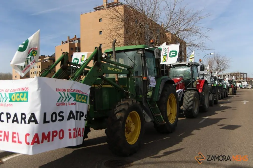 Manifestación UCCL 12