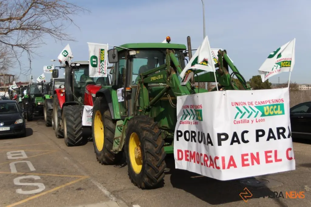 Manifestación UCCL 13