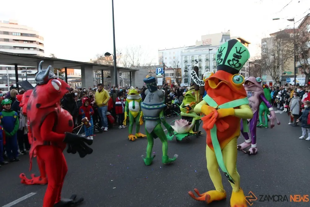 desfile de carnaval en zamora (13)
