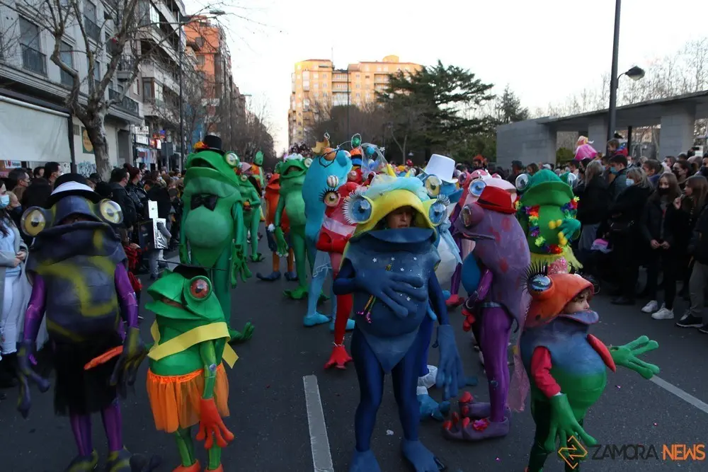 desfile de carnaval en zamora (14)