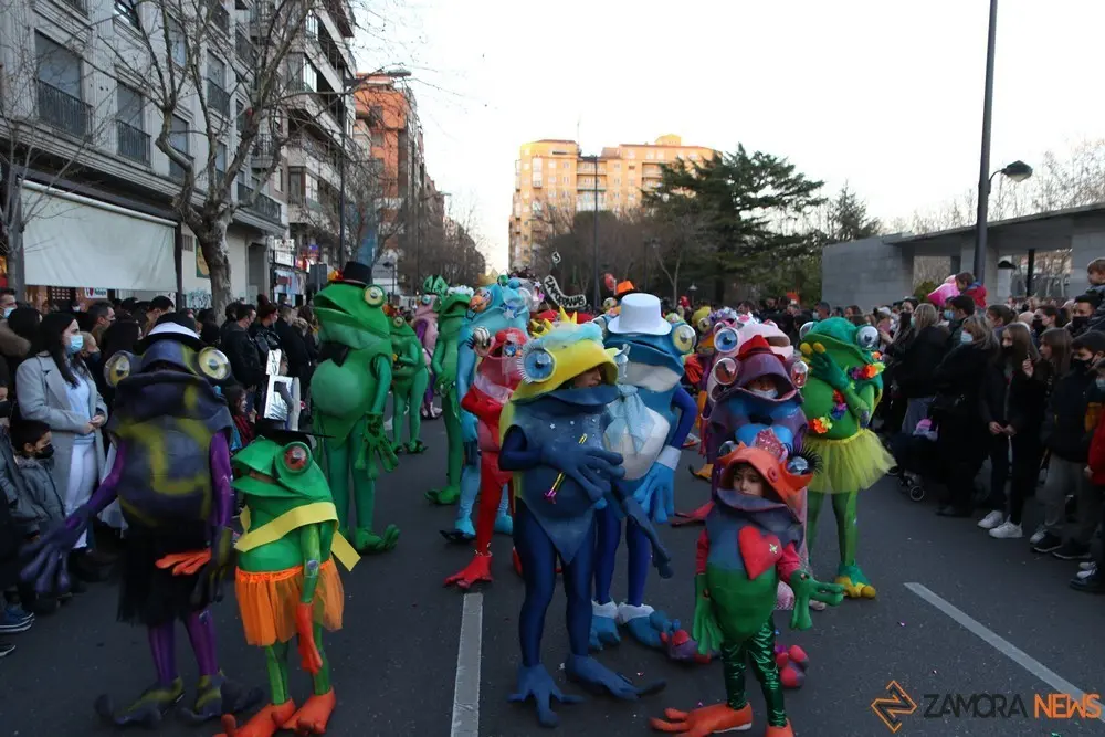desfile de carnaval en zamora (15)