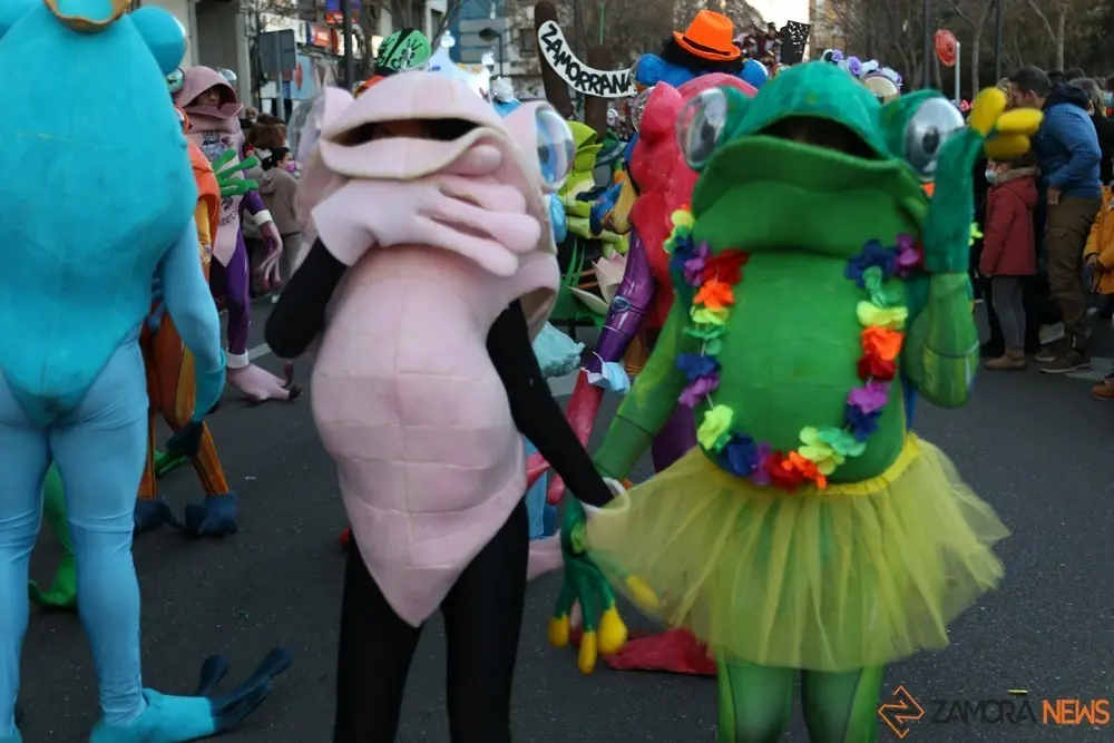 desfile de carnaval en zamora (16)