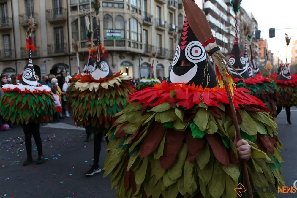 desfile de carnaval en zamora (21)
