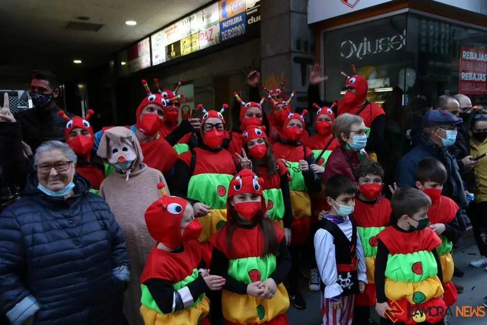 desfile de carnaval en zamora (23)