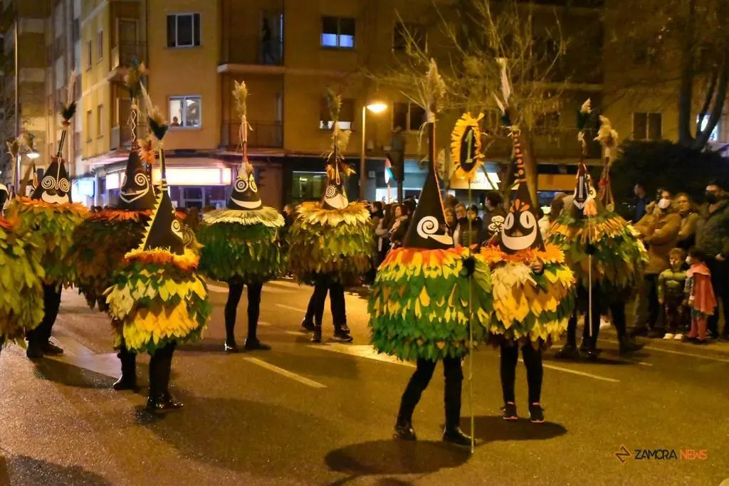 Segundo desfile de Carnaval en Zamora (12)