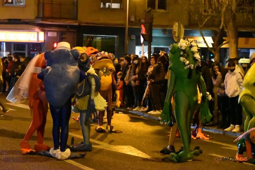 Segundo desfile de Carnaval en Zamora (14)