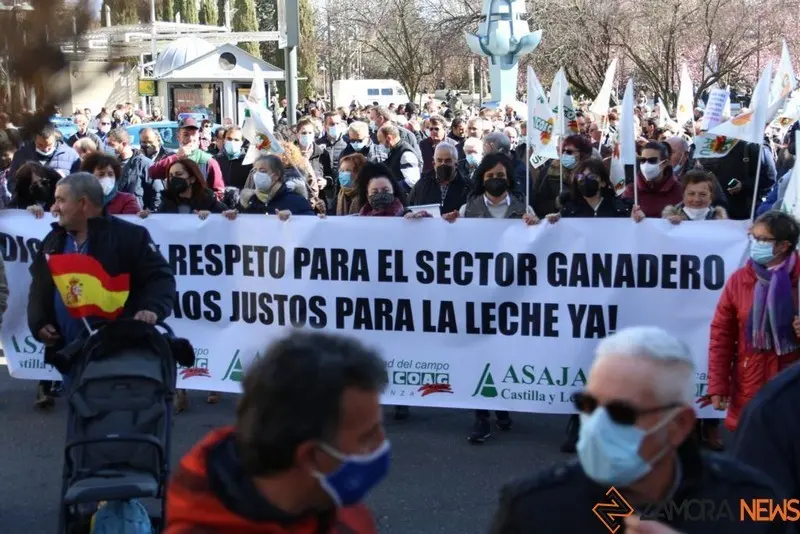 Tractorada Zamora (19)