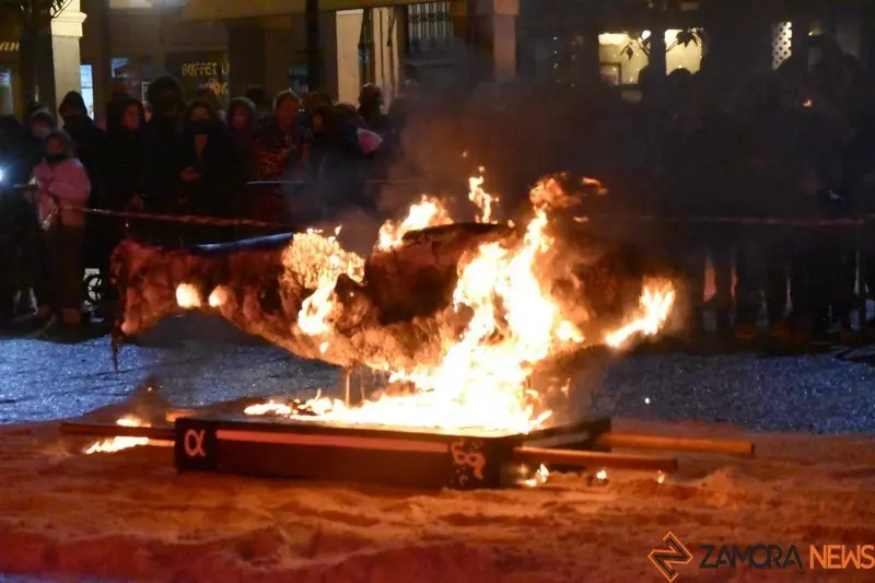 Entierro de la Sardina Zamora (8)