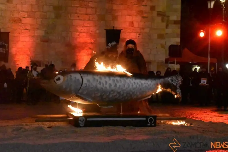 Entierro de la Sardina Zamora (10)