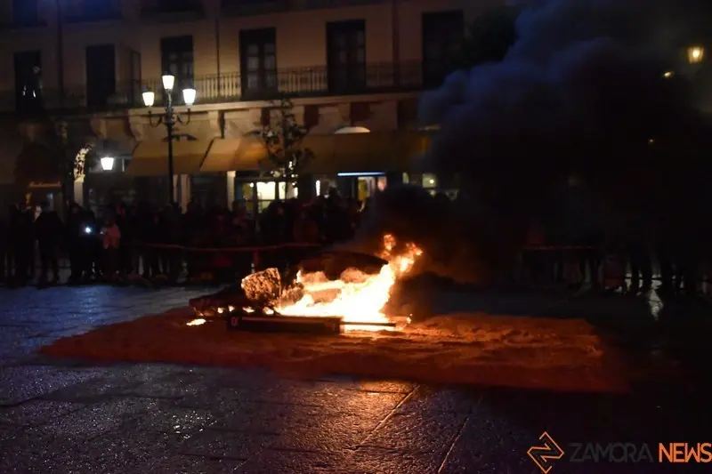 Entierro de la Sardina Zamora (11)