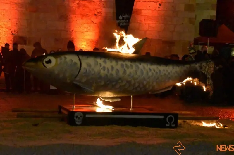 Entierro de la Sardina Zamora (14)