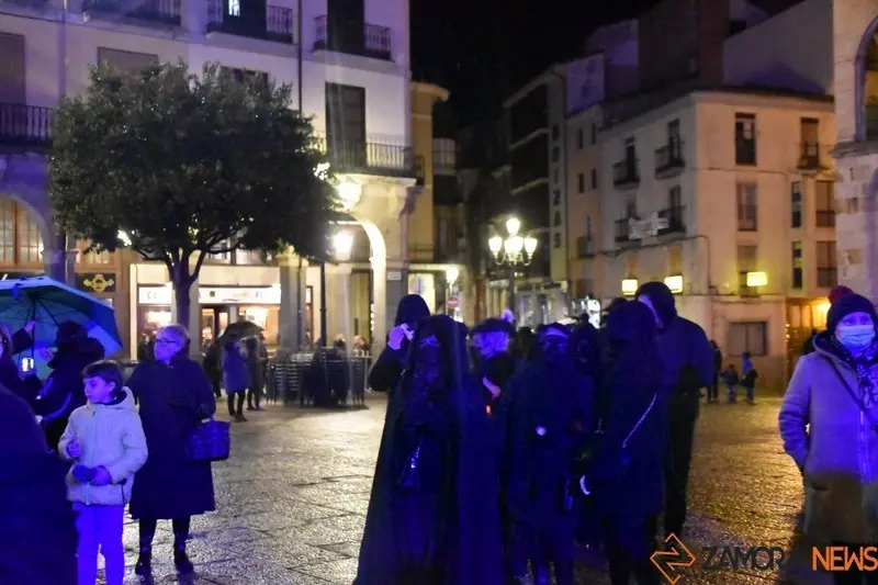 Entierro de la Sardina Zamora (20)