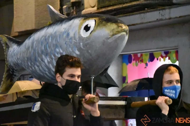 Entierro de la Sardina Zamora (23)