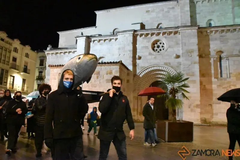 Entierro de la Sardina Zamora (24)