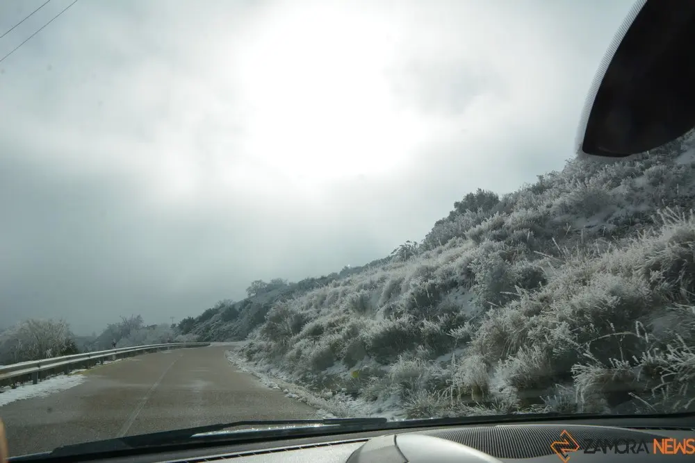 frio heladas (20)