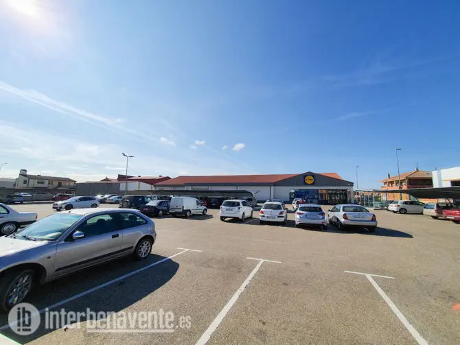 lidl interBenavente