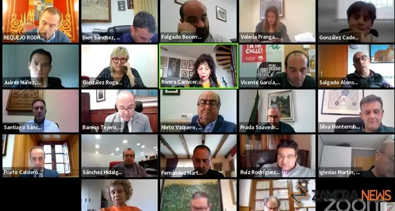 Pleno on line de la Diputación de Zamora