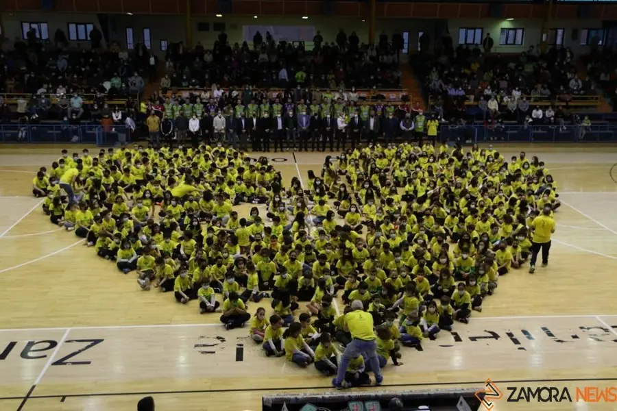 BalonmanoZamora00018