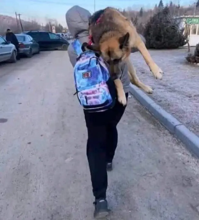 Una ucraniana huye de la guerra con su perro a hombros