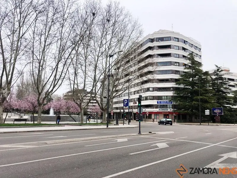 Zamora (2)