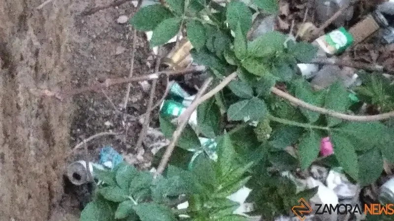 Basura en el entorno del Mirador de San Cipriano