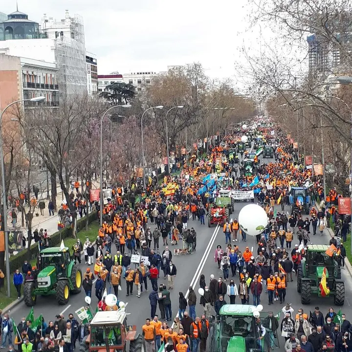 desde arriba