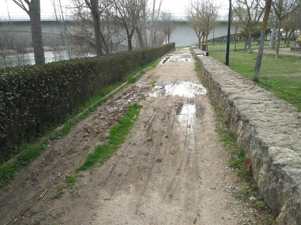 Camino de Olivares