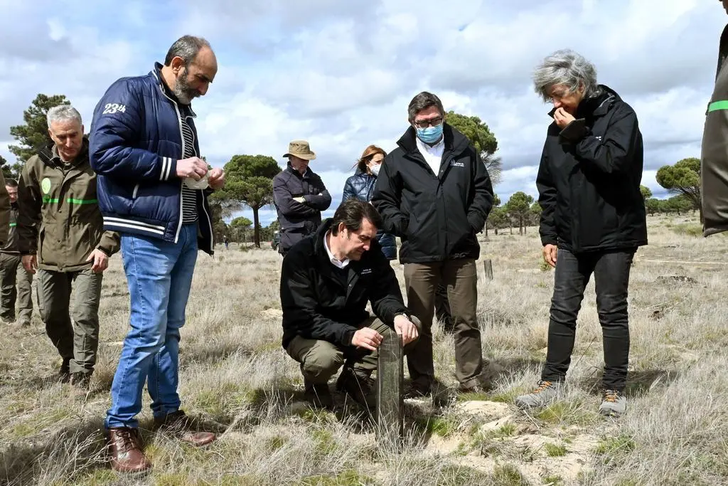 Trabajos de reforestación