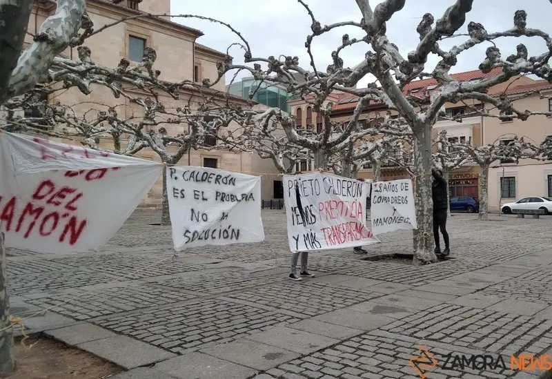 Pancartas de los bomberos en la Diputación de Zamora