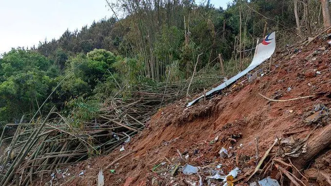 Avión accidentado en China el pasado lunes, fuente anónima