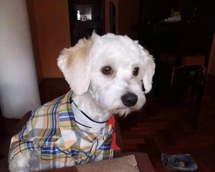 Luno