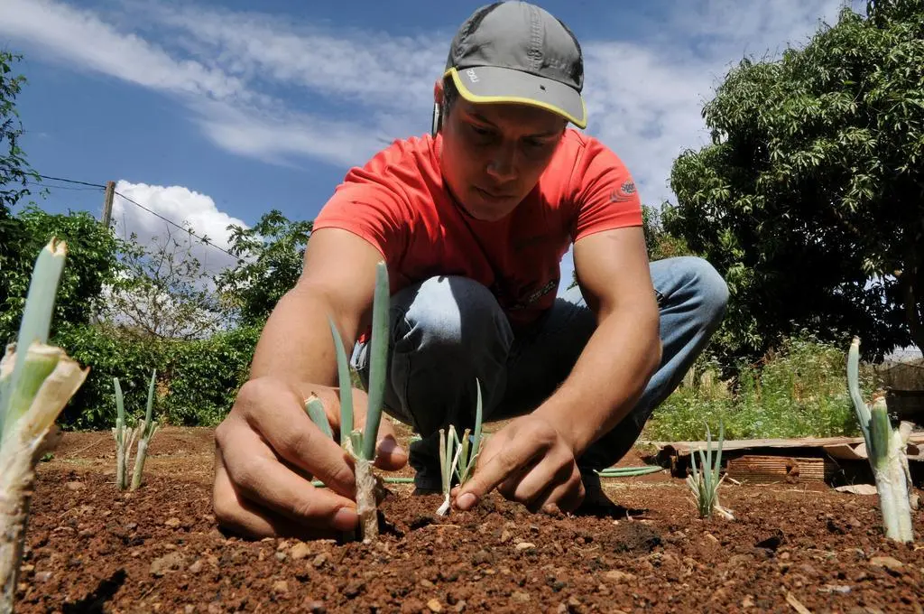 Agricultor. Foto de archivo