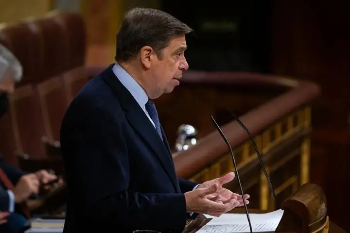 Luis Planas durante su comparecencia en el Congreso de los Diputados