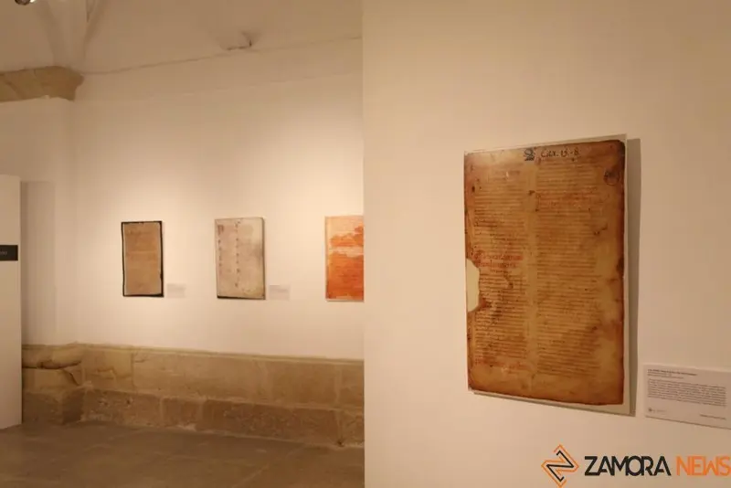 Exposición biblioteca Zamora (1)