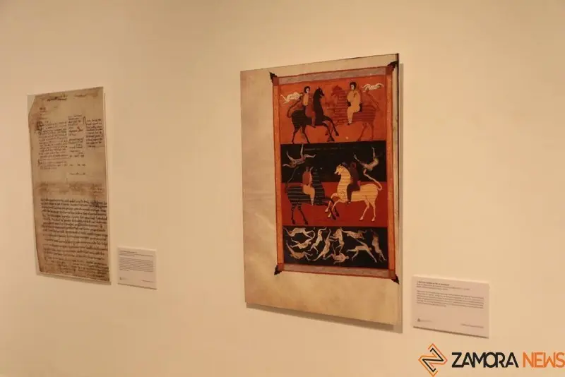 Exposición biblioteca Zamora (4)