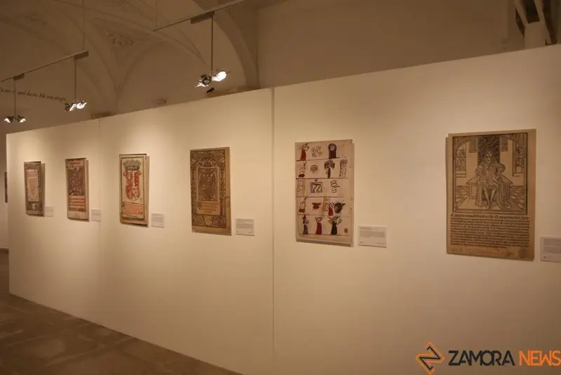 Exposición biblioteca Zamora (5)