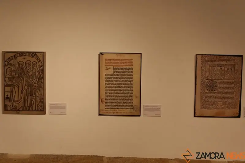 Exposición biblioteca Zamora (6)