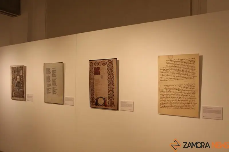 Exposición biblioteca Zamora (7)