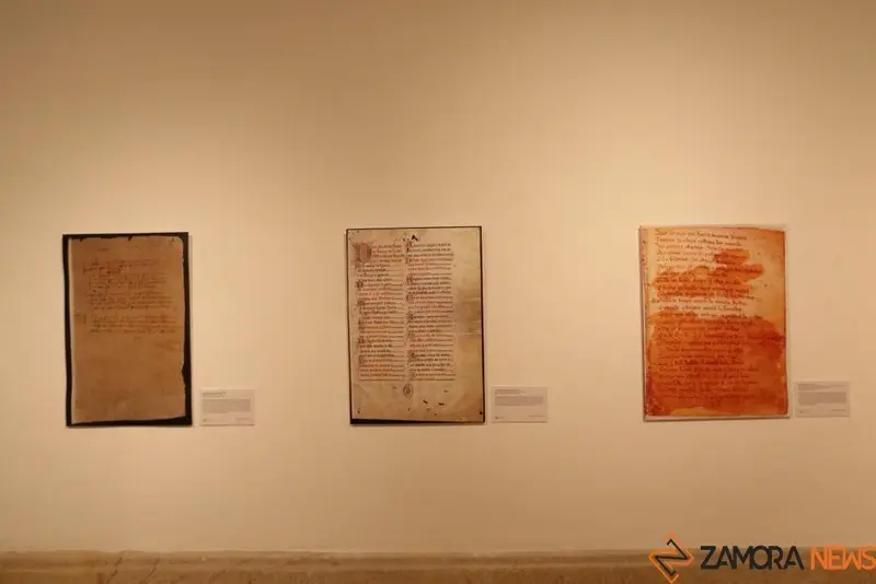 Exposición biblioteca Zamora (3)