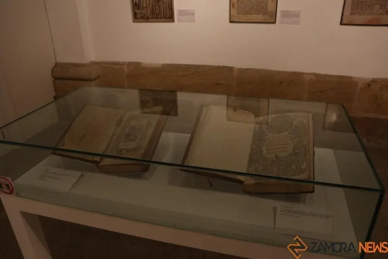 Exposición biblioteca Zamora (10)