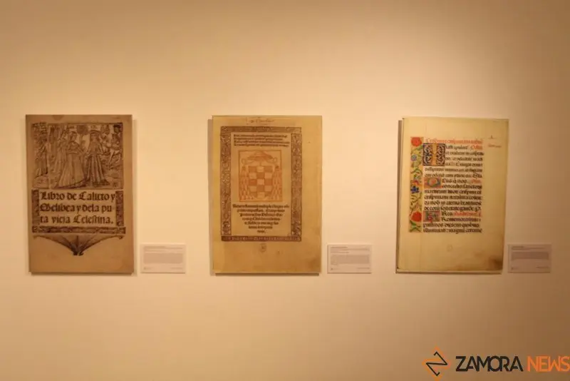 Exposición biblioteca Zamora (12)