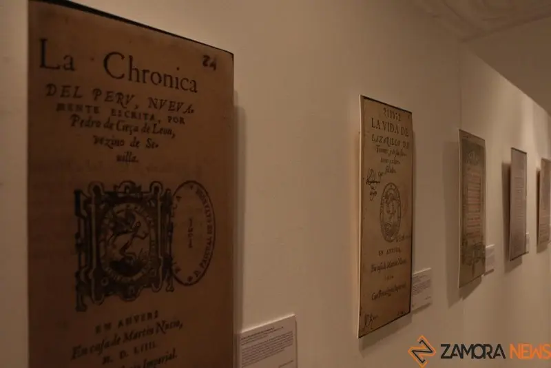 Exposición biblioteca Zamora (13)