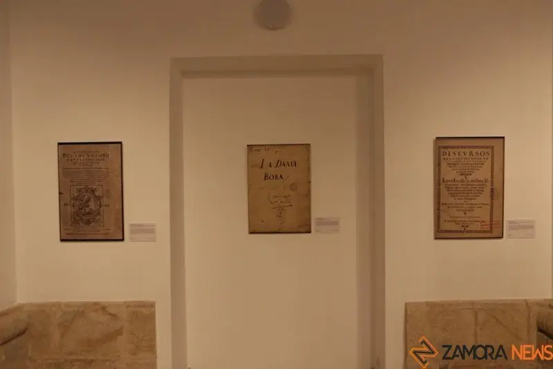 Exposición biblioteca Zamora (15)