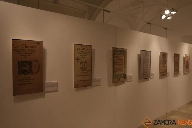 Exposición biblioteca Zamora (14)