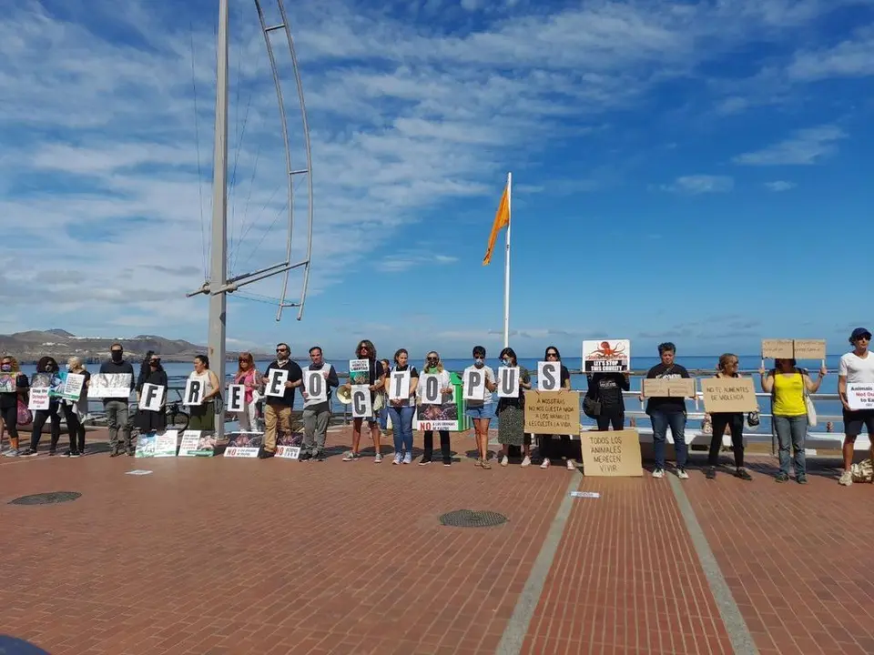 Manifestación en Las Palmas de Gran Canaria