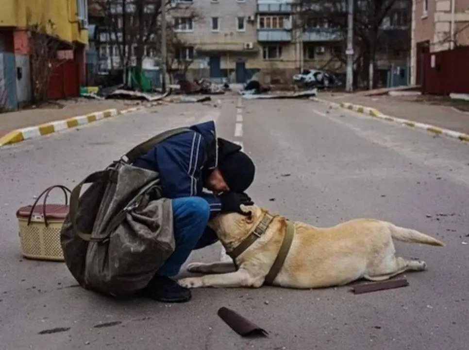 Hombre tranquiliza a un perro en Irpin