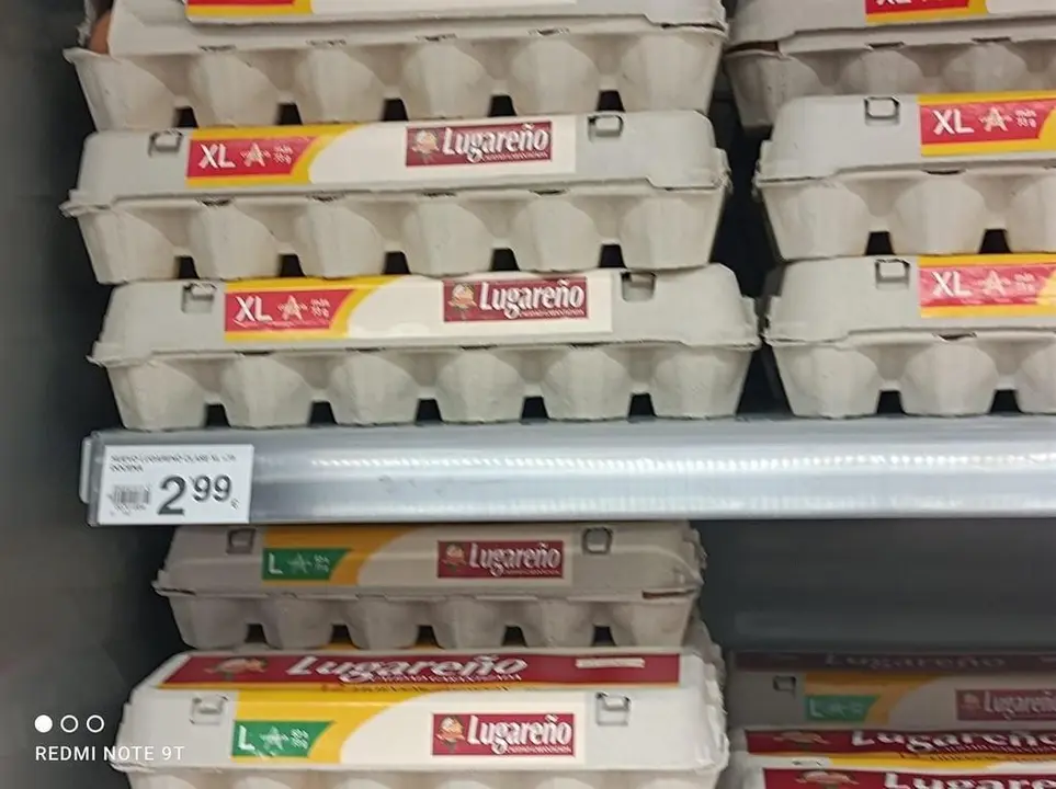 Huevos