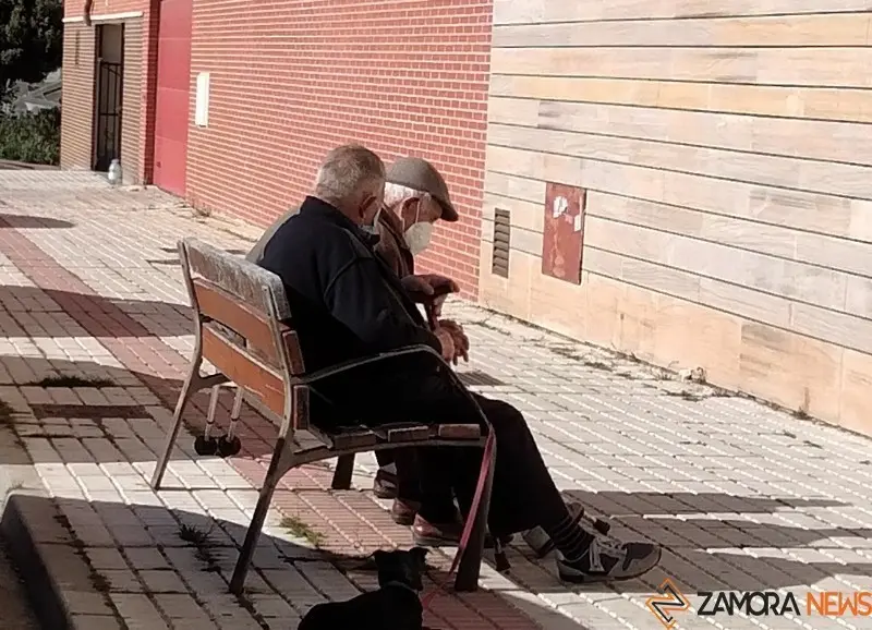 Dos hombres mayores charlan en un banco de la ciudad
