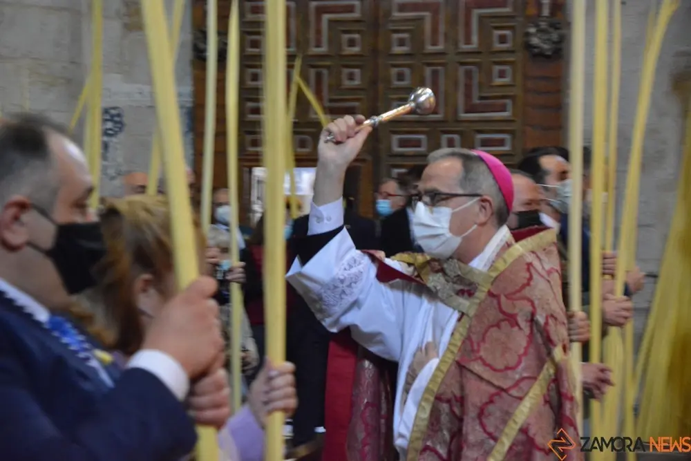 domingo de Ramos y palmas (35)
