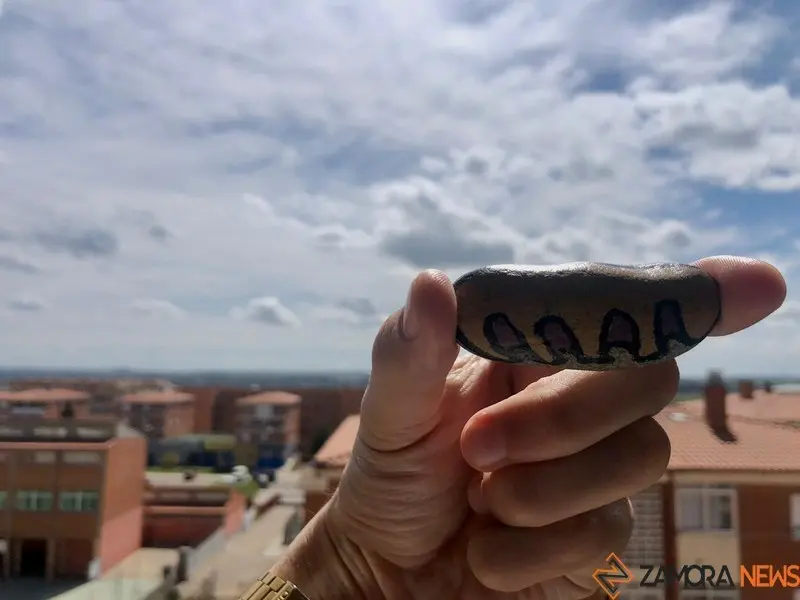Piedras pintadas en Zamora